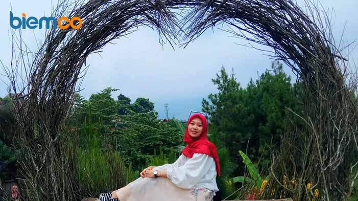 Rainbow Garden
