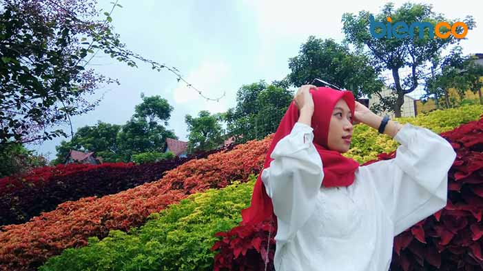 Rainbow Garden